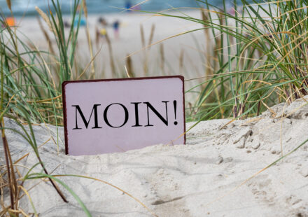 Foto: Fokusiert