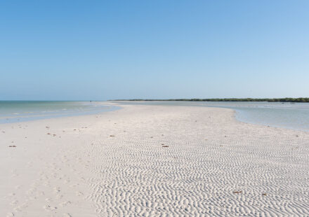 Sandbank