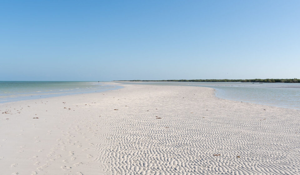 Sandbänke Sandbank