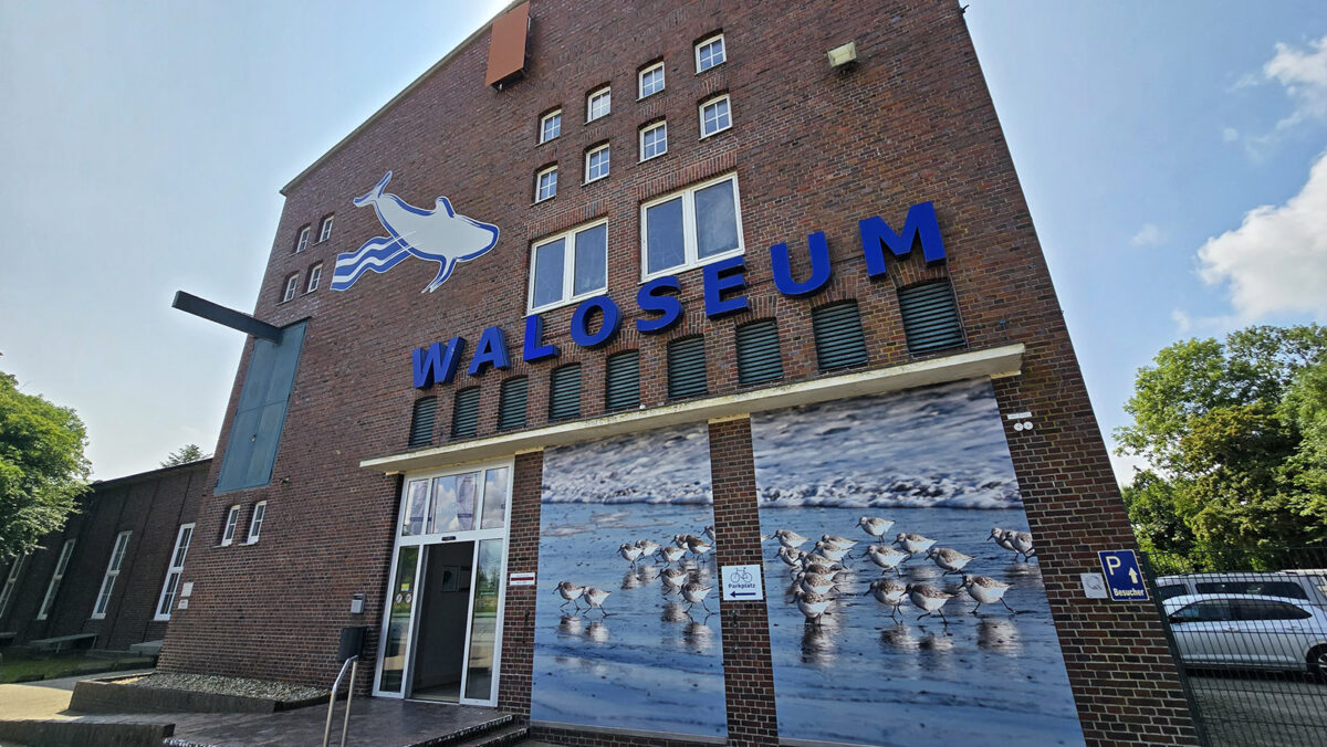 Das Waloseum im Osterlooger Weg 3, 26506 Norden
