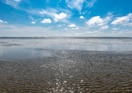 Wattenmeer