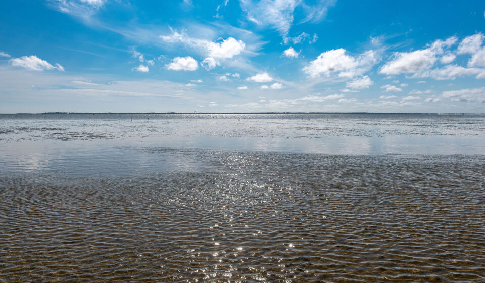 Wattenmeer Wattenmeer