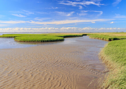 Dollart - Wattenmeer mit Blick auf Emden