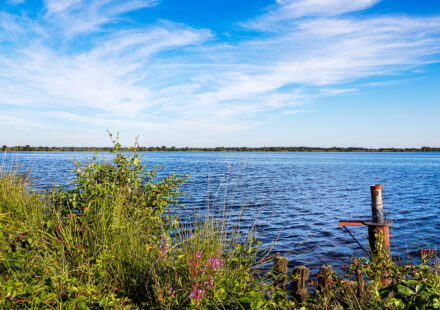 Ewiges Meer, Hochmoor, Ostfriesland