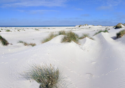Hochsand - Kniepsand (Amrum)