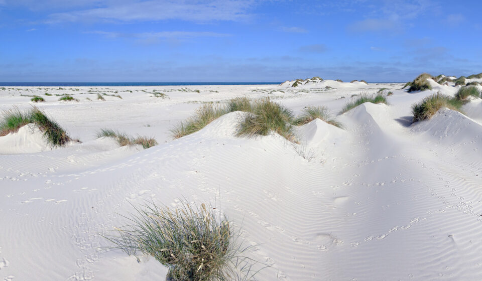 Hochsand - Kniepsand (Amrum)