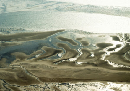 Nationalpark Niedersächsisches Wattenmeer