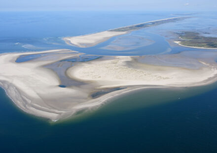 Kachelotplate - Ostfriesland - Sandbank -Hochsand