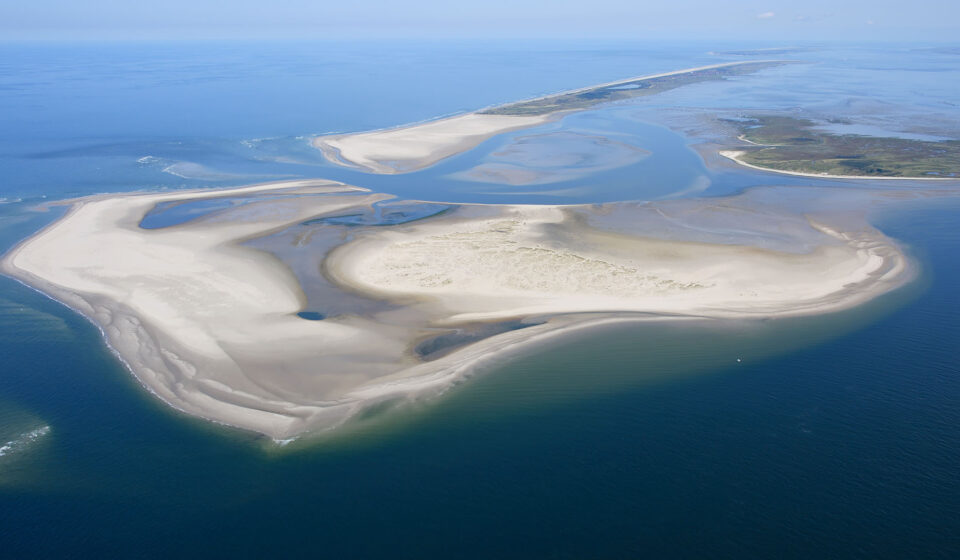 Kachelotplate Kachelotplate - Ostfriesland - Sandbank -Hochsand