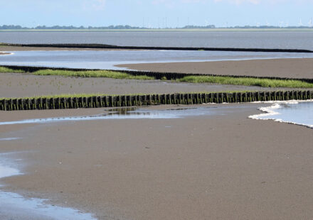 Leybucht in Ostfriesland