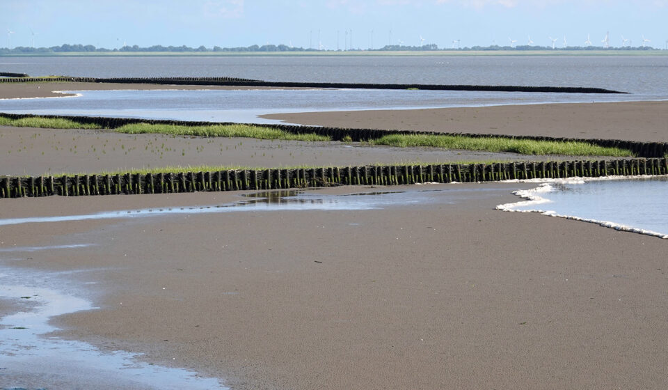 Leybucht in Ostfriesland