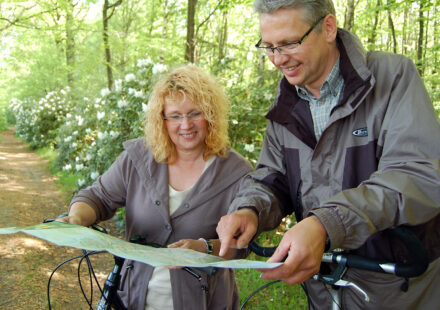 Ihlower Forst in Ostfriesland