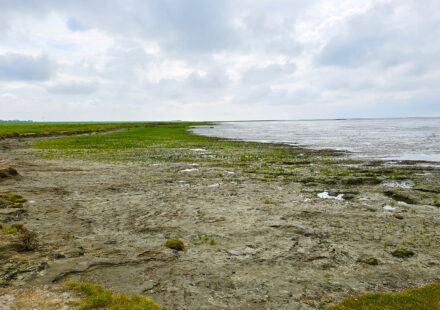 Naturstrand Hilgenriedersiel