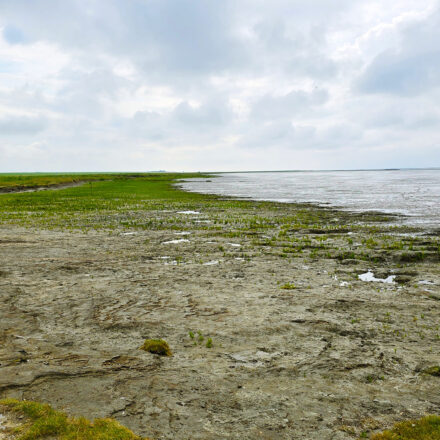 Naturstrand Hilgenriedersiel
